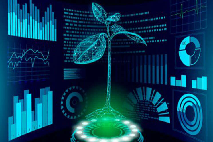Virtual tomato crops? Virtual tomato crops?