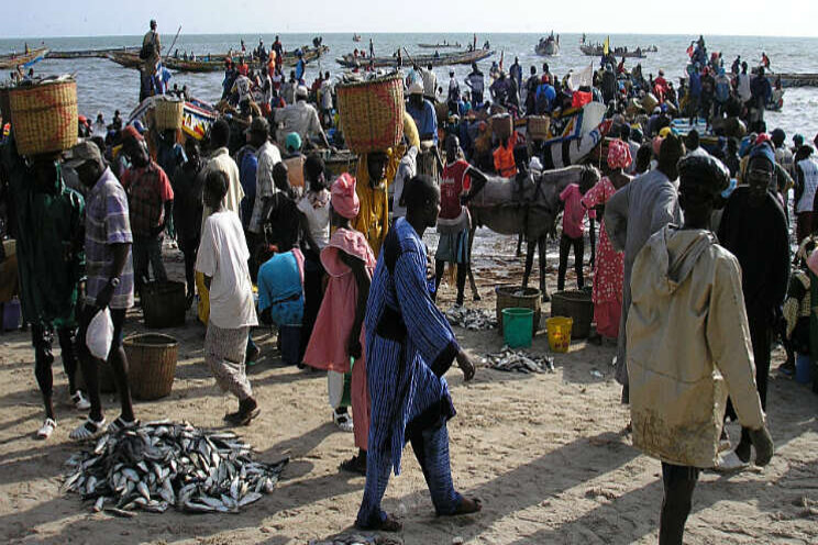 Voedingstuinbouw Senegal zoekt Nederlandse kennis Voedingstuinbouw Senegal zoekt Nederlandse kennis
