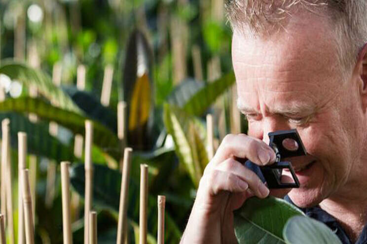 Jaaroverzicht Plantgezondheid Jaaroverzicht Plantgezondheid