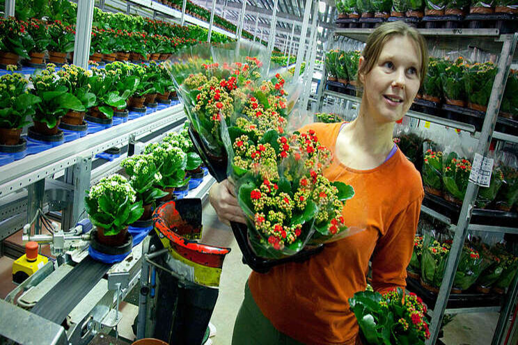 Uitbreiding T34 Biocontrol Uitbreiding T34 Biocontrol